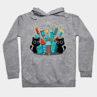 Fireworks Day Hoodie